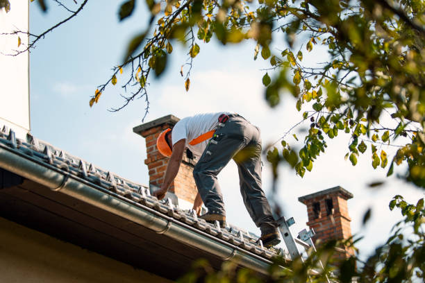 Best Emergency Roof Repair  in Elmwood Park, NJ